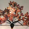 maple wall sconce